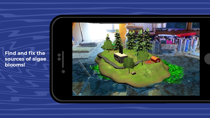 Algae Bloom Dynamics