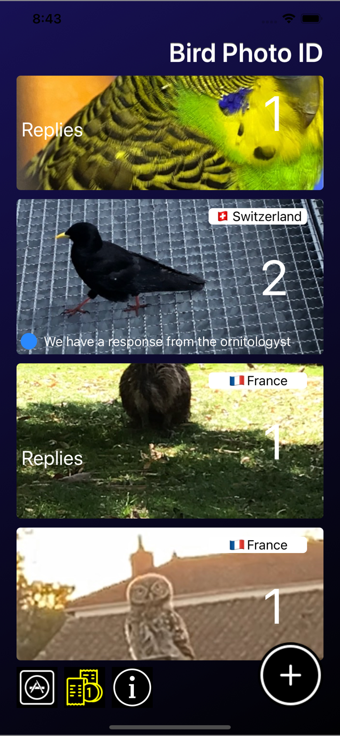 Bird ID - Bird Identification