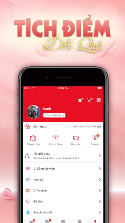 Ilydesign - Lựa chọn phái đẹp