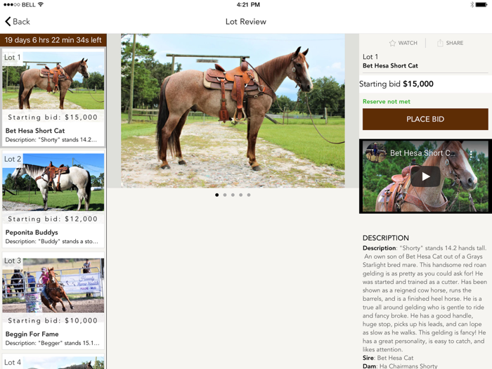 Dan Post Quarter Horse Auction