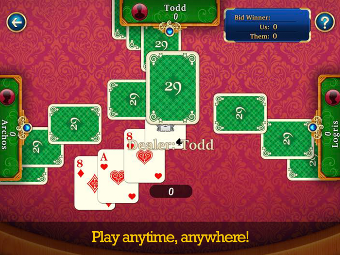 29 Card Game Offline Fun Game