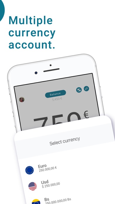 Shasta -International payments Screenshot