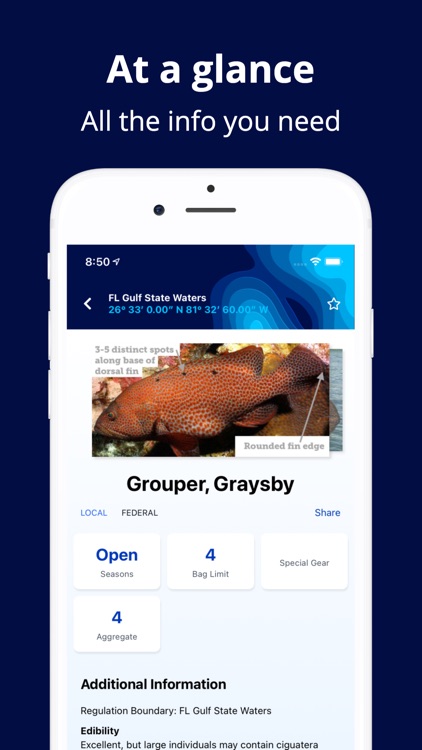Fish Rules: Fishing App