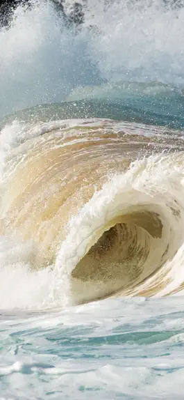 Game screenshot The Huntington Club mod apk