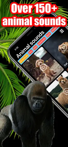 Game screenshot Animal Sounds ® mod apk