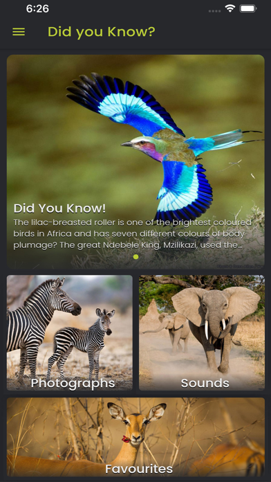 Screenshot #3 pour Did you know: African Wildlife