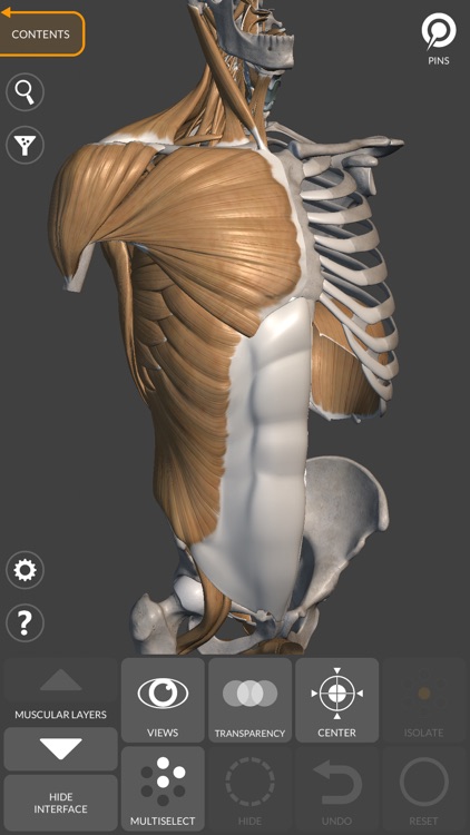 3D Anatomy for the Artist