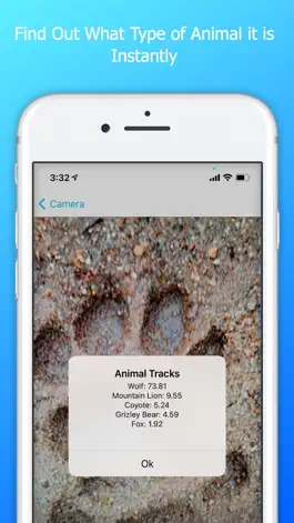 Game screenshot Animal Tracks Discovery apk