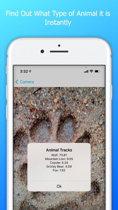 Animal Tracks Discovery Screenshot