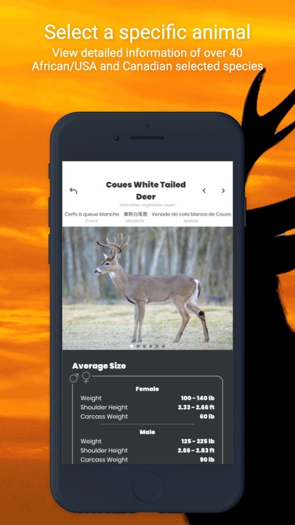 International Hunters screenshot-6