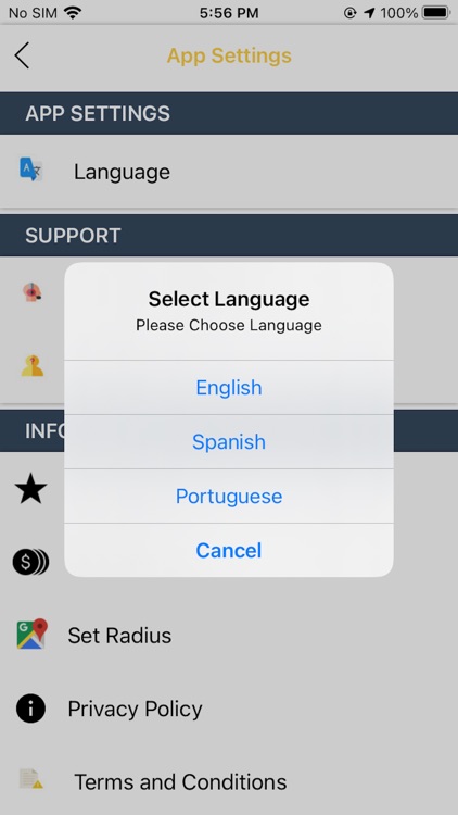 Taxi Bras Driver screenshot-5