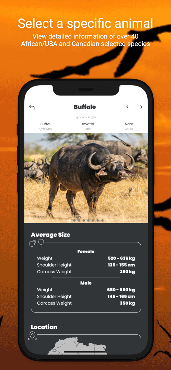 International Hunters