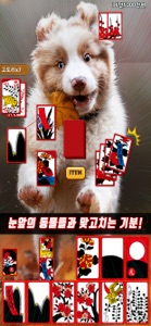 애니멀 맞고 screenshot #5 for iPhone