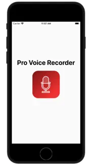 pro voice recorder problems & solutions and troubleshooting guide - 2