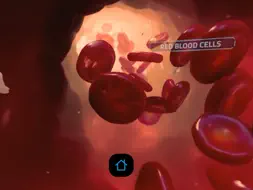 Random42 VR screenshot 13