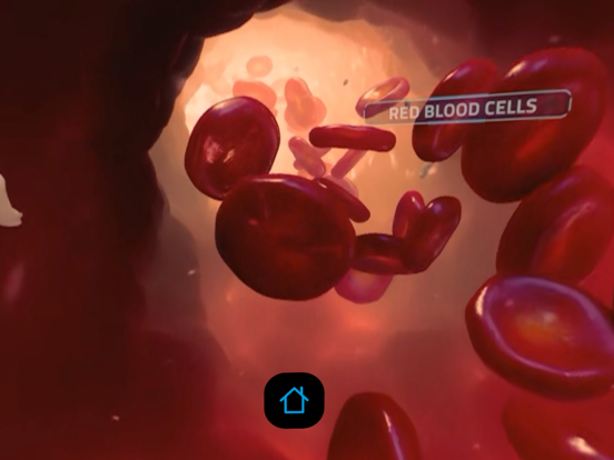 Random42 VR iPad screenshot 6 - Entertainment app