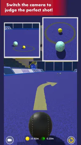 Game screenshot Bowls Pro apk