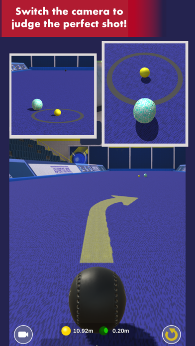 Bowls Pro Screenshot