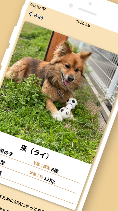 SPA犬猫ナビ Screenshot