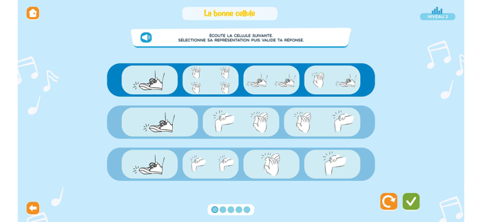 Cellules rythmiques - cycle 1
