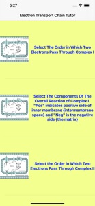 Electron Transport Chain Tutor screenshot #1 for iPhone