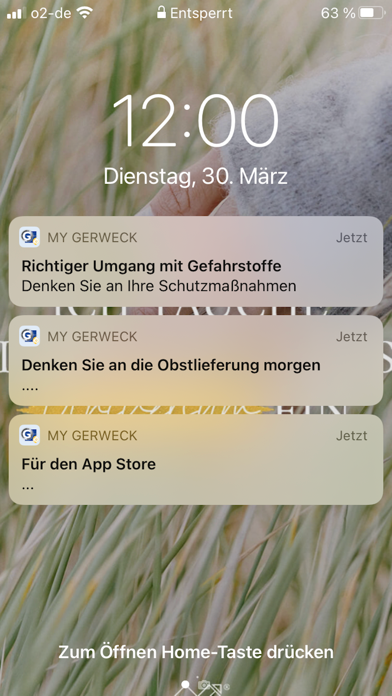 Screenshot #1 pour MY GERWECK