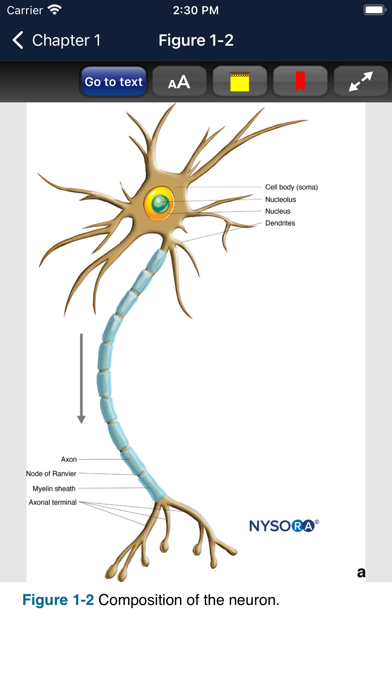 Hadzic's Nerve Blocks, 3E Screenshot