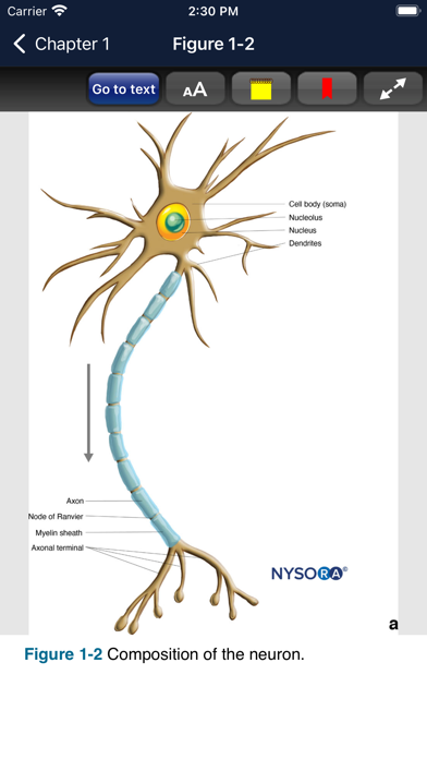 Hadzic's Nerve Blocks, 3Eのおすすめ画像7