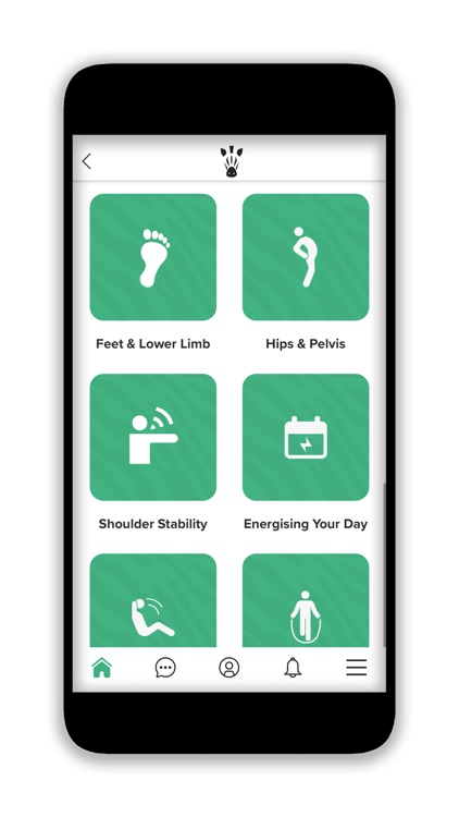 The Zebra Club screenshot-5