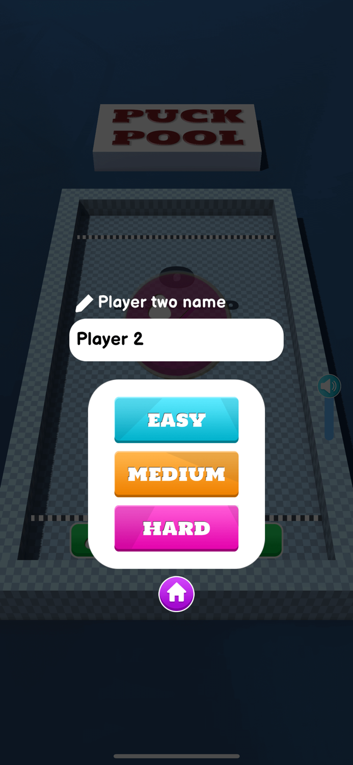 Puck Pool - Fast Sling Puck 3D