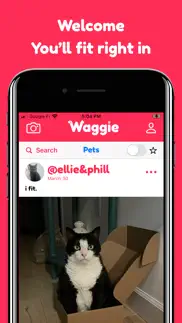 waggie - pet social network iphone screenshot 1