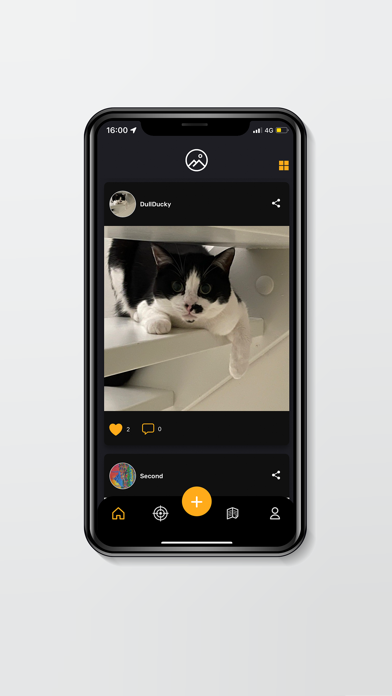 Picalized Screenshot