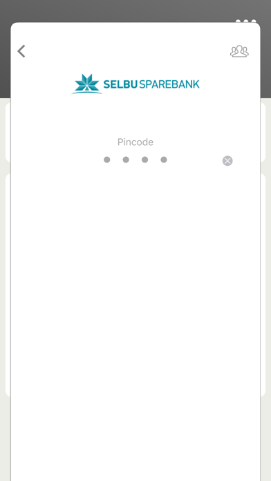 Selbu Sparebank Bedrift. Screenshot