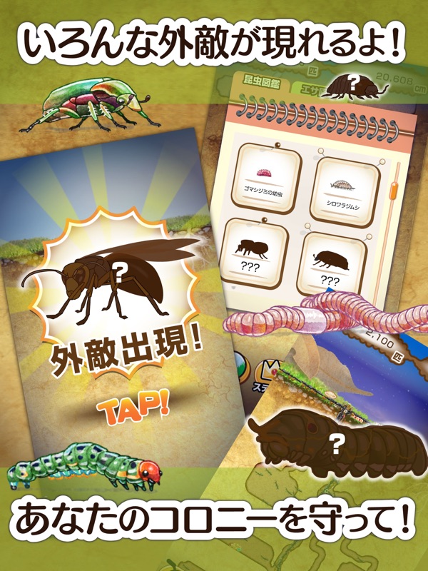 アリの巣コロニー 蟻を箱庭観察育成できるおすすめ放置ゲーム screenshot 9