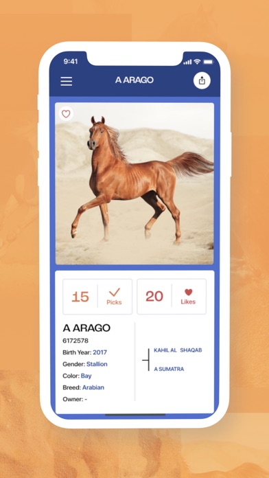 FanStable: Fantasy Horse Showsのおすすめ画像5