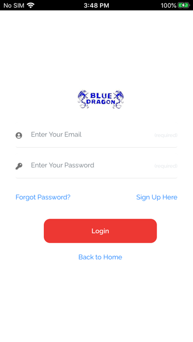 Blue Dragon Restaurant Screenshot