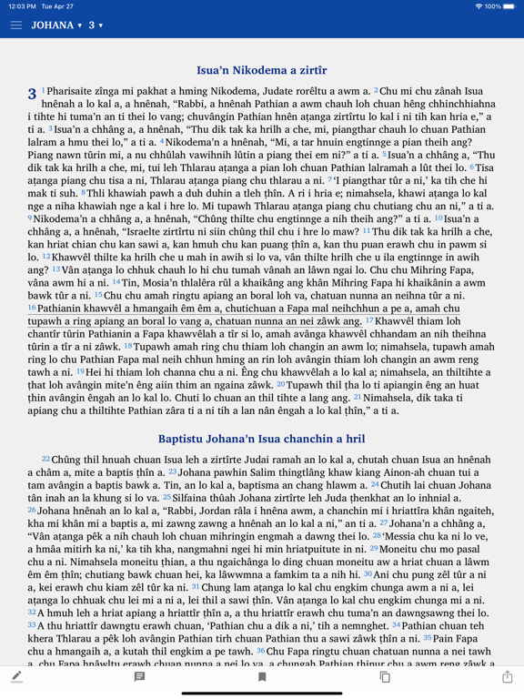 Screenshot #4 pour Mizo New Testament