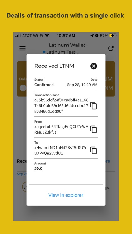 Bitcoin Latinum Wallet screenshot-8