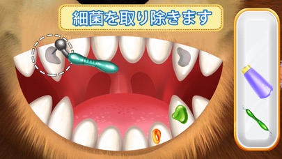 マーシャとくま: 歯科手術と歯医者のおすすめ画像4