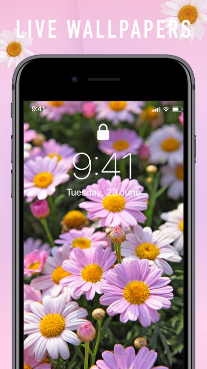 Color Live Wallpapers 4K & Fun
