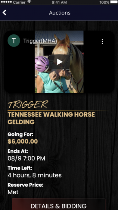 Screenshot #2 pour Magic Horse Auction