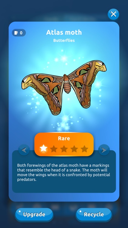 Perfect Earth: Animals screenshot-5