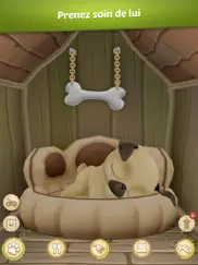 chien virtuel louie le pug iPad Captures Décran 3