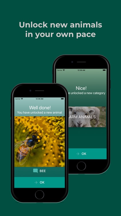 My Digital Zoo - Picture book screenshot-3