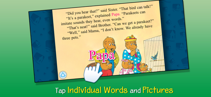 Berenstain Really Big Pet Show