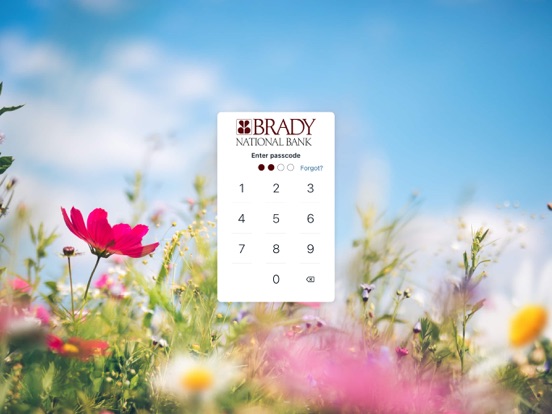 TheBradyBank iPad screenshot 2 - Finance app