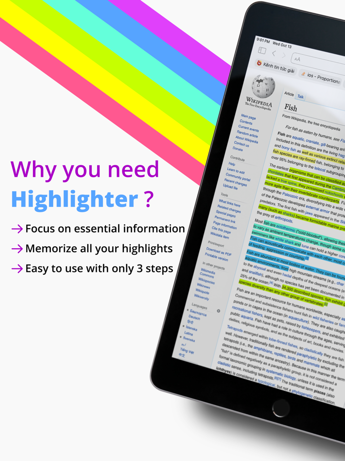 Highlighter - Focus on detail