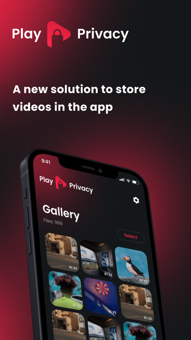 Play Privacy: Video Storage Screenshot
