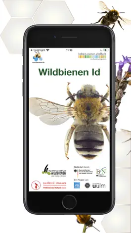 Game screenshot Wildbienen Id BienABest mod apk