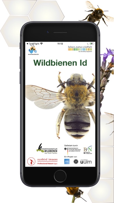 Wildbienen Id BienABest Screenshot